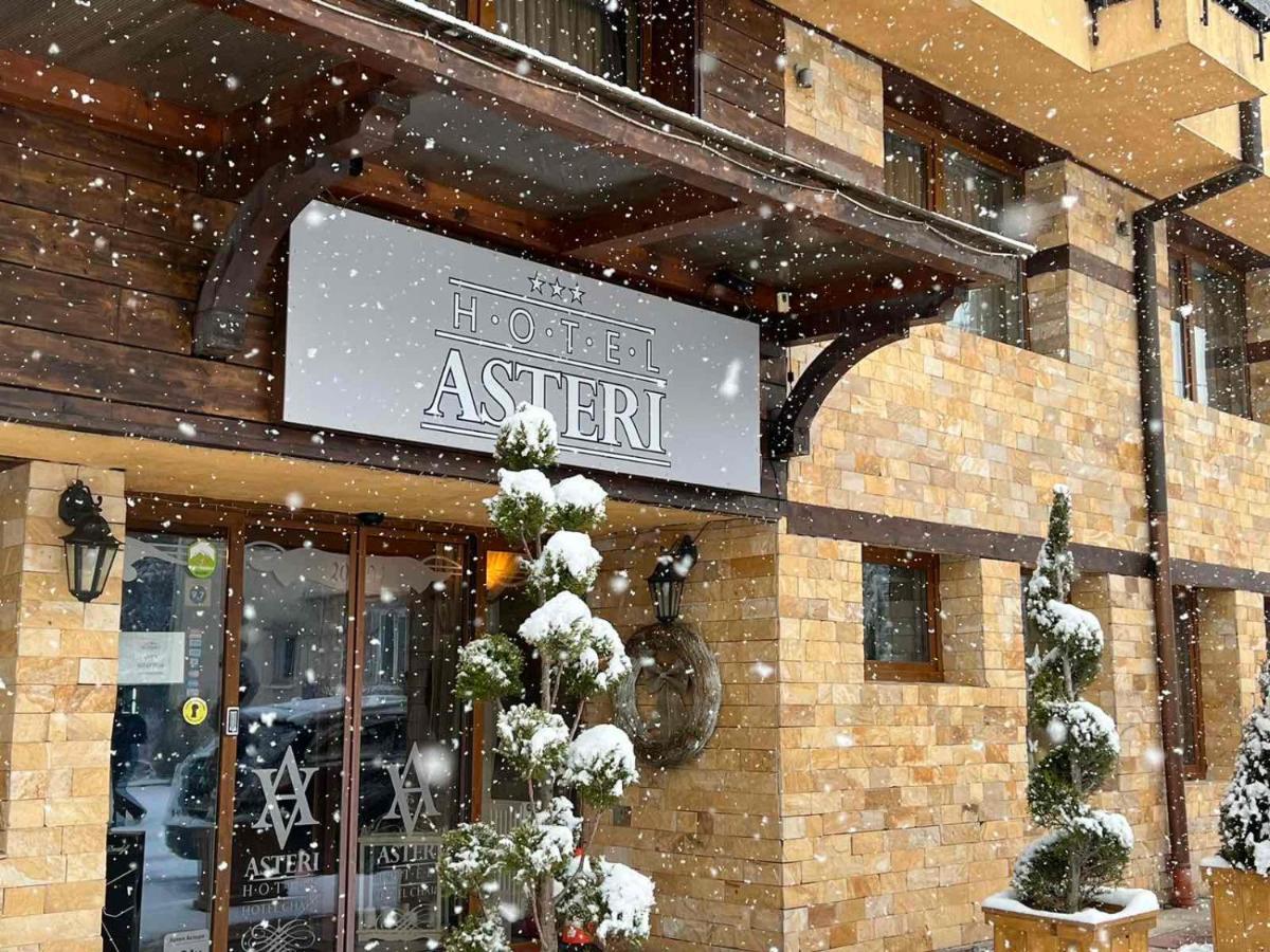 Hotel Asteri Bansko - Organic Food From Small Local Farms By Asteri Hotels Eksteriør bilde
